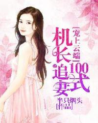 宠上云端:机长追妻100式