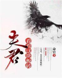 夫君,看看这块板砖