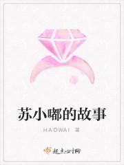 苏小嘟的故事