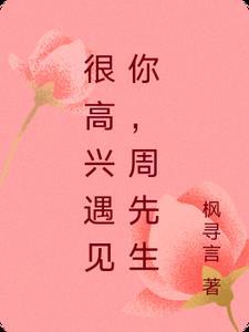 很高兴遇见你,周先生