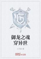 御龙之魂穿异世