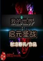 我的世界:启元圣战