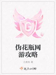 伪花瓶网游攻略